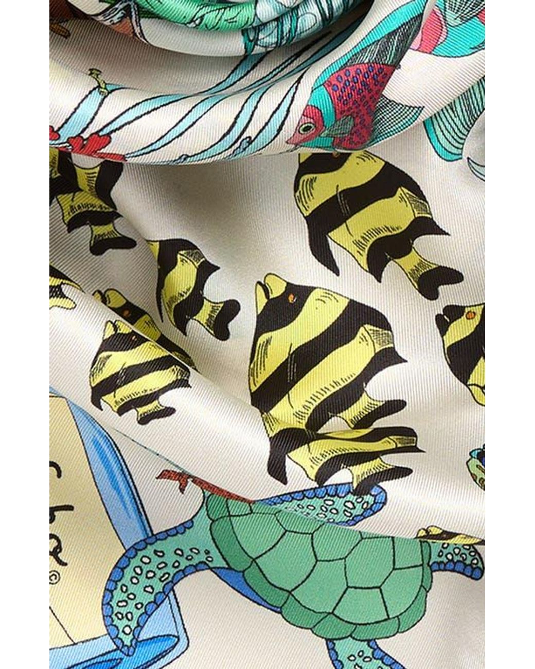 Echo Multicolor Lost