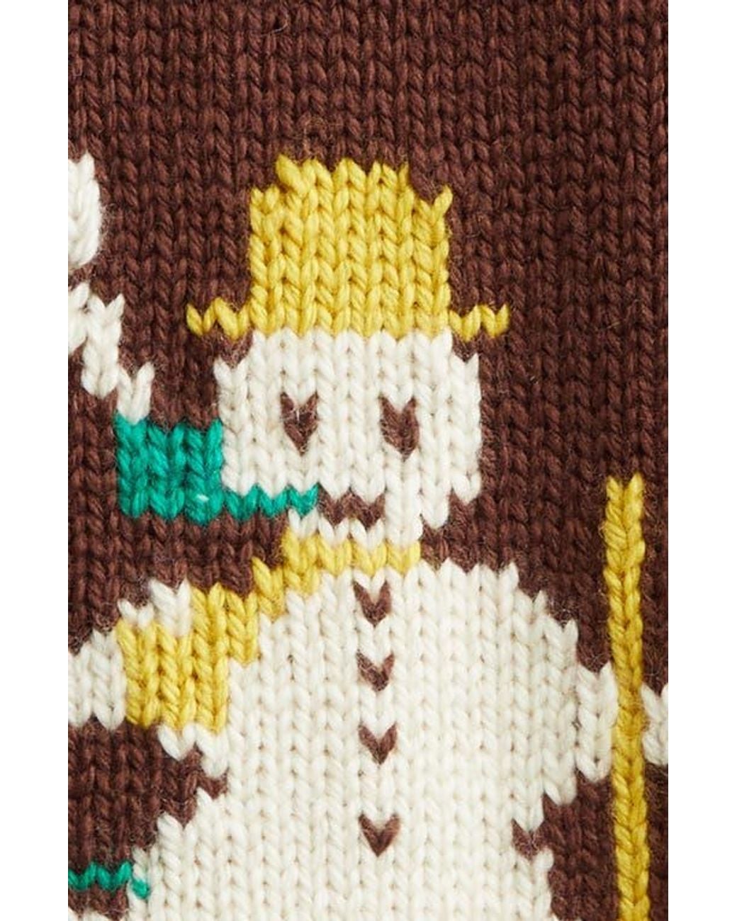 Bode Brown Fir Shawl Collar Wool Zip Cardigan for men