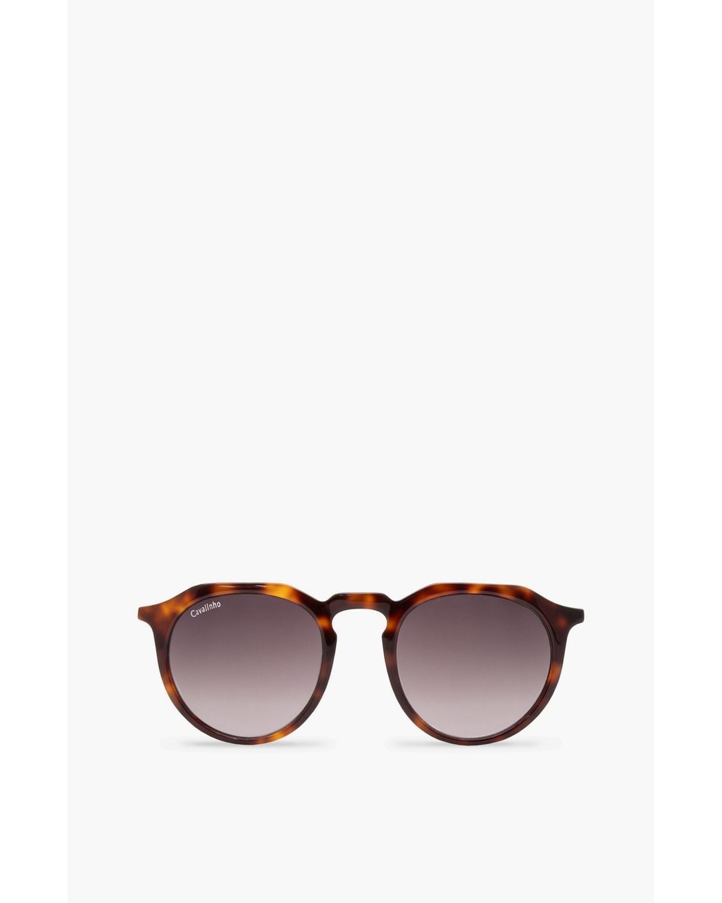 Cavalinho Brown Sunglasses City