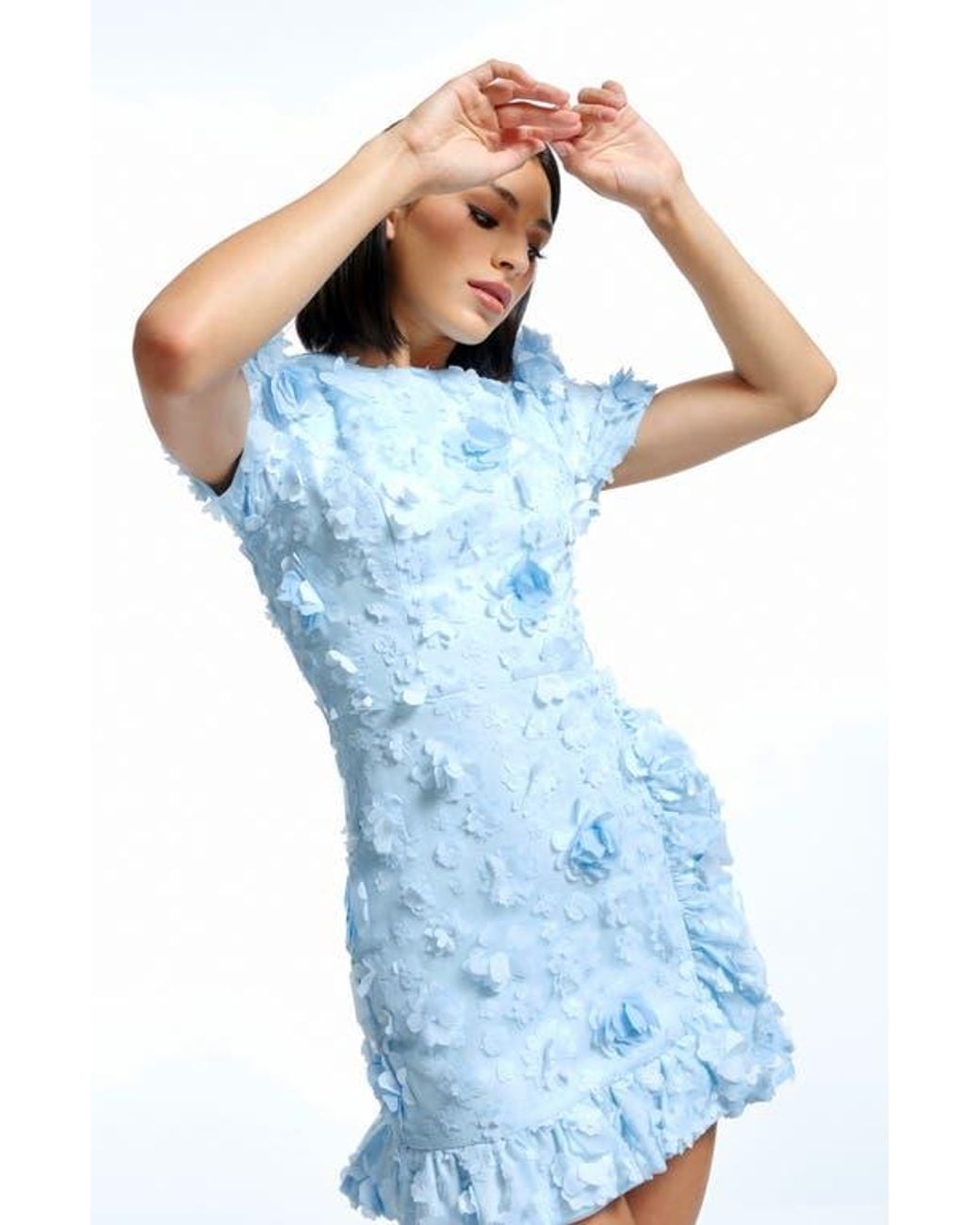 open lace back dress Sharon Dress – Dress the Population