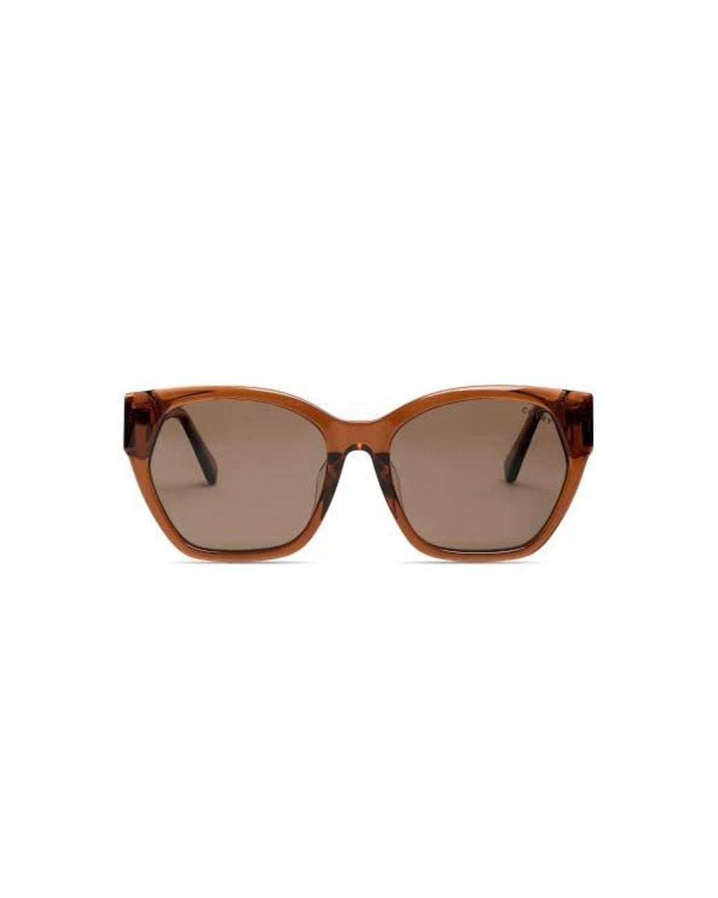 COVRY Brown Irena Sunglasses