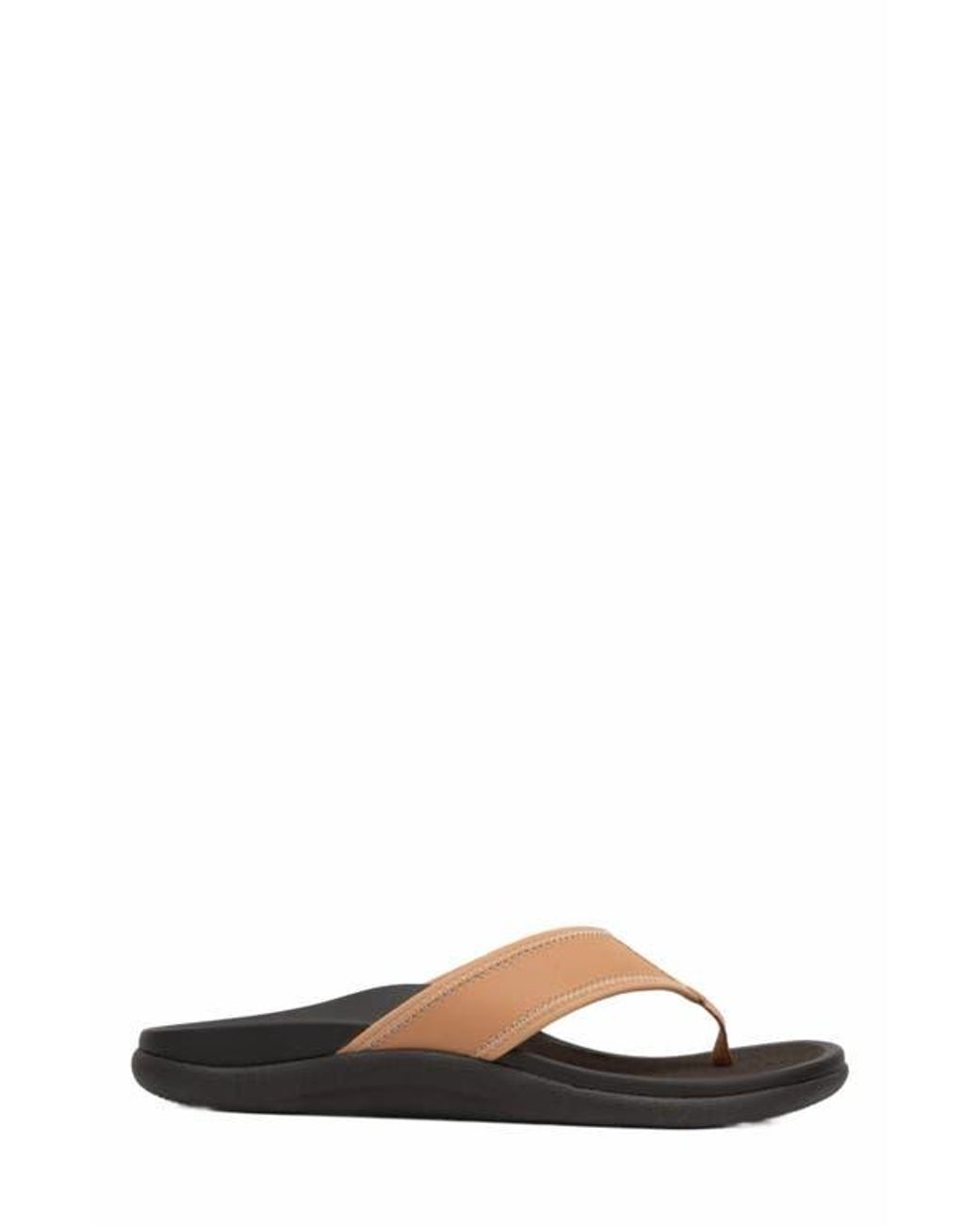 ABEO Brown Laguna Sandal