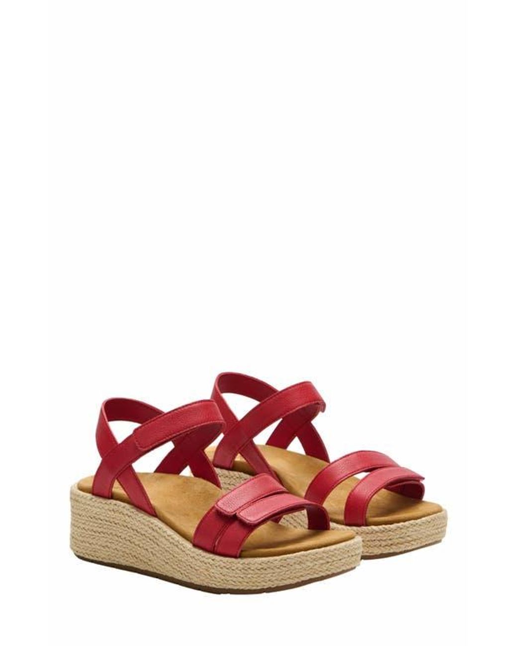 ABEO Pink Solstice Strap