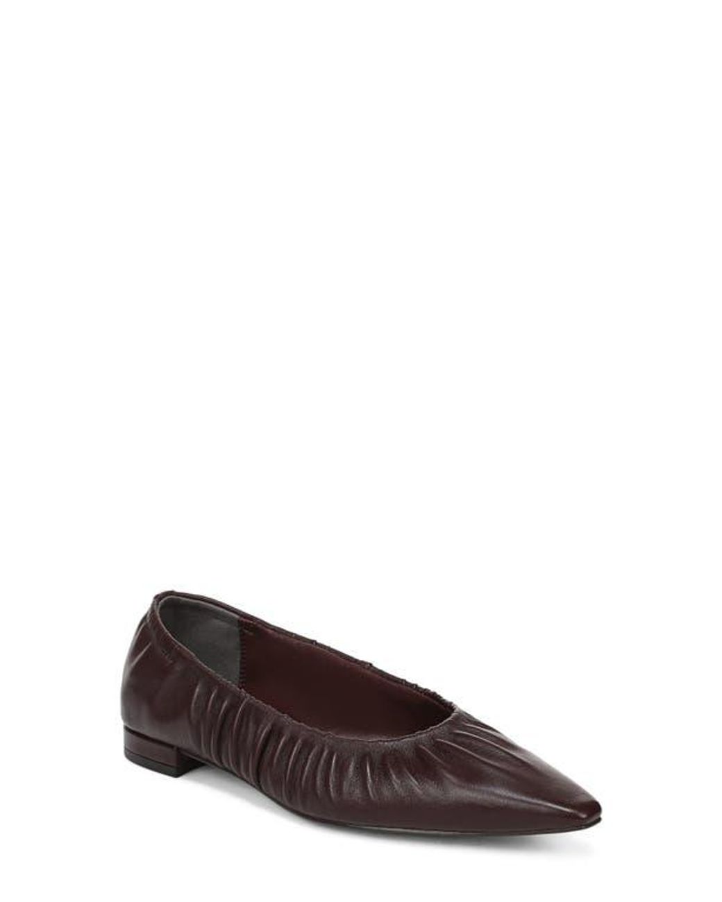 Sam Edelman Brown Essex Pointed Toe Flat