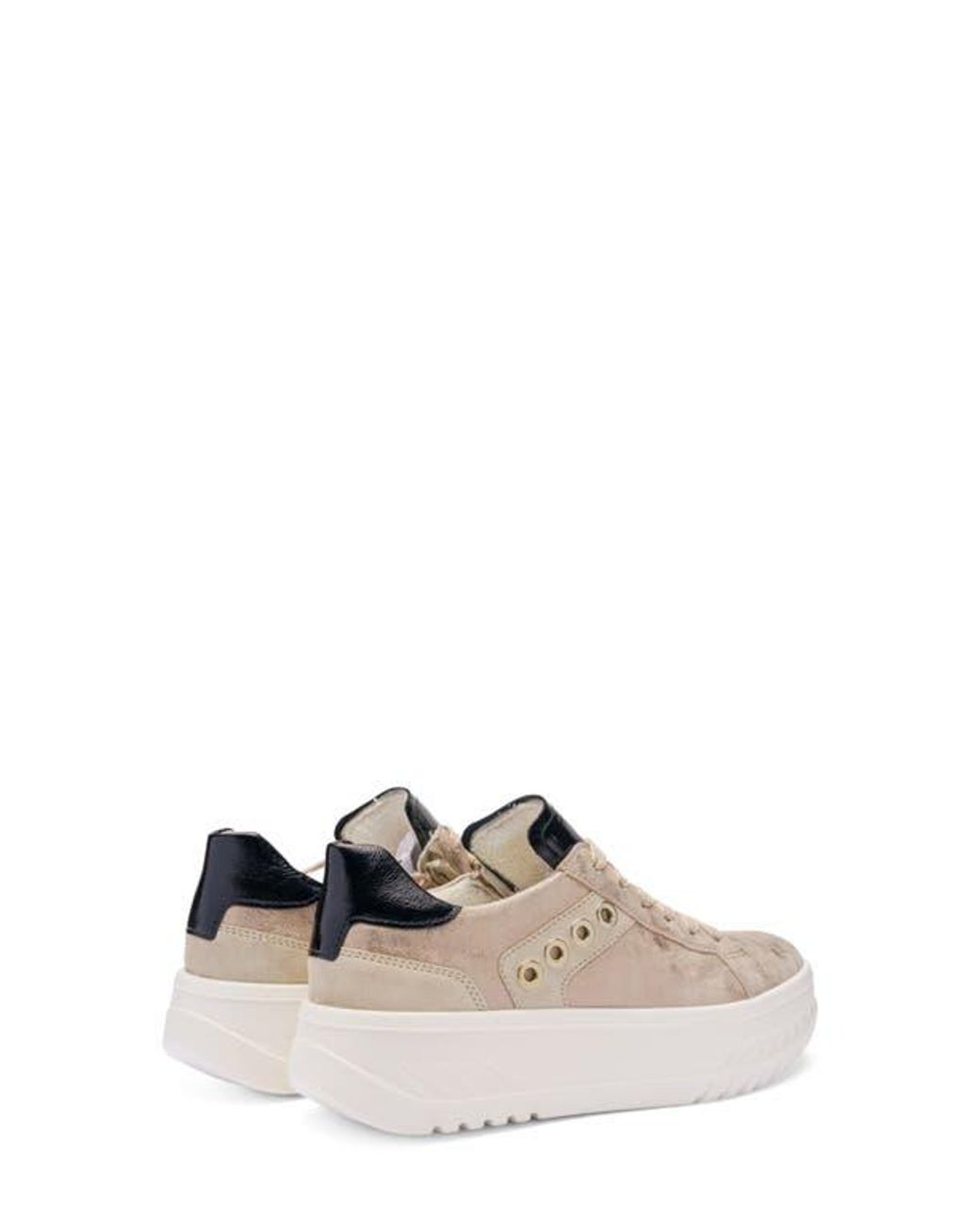 Ara Multicolor Meridian Platform Sneaker