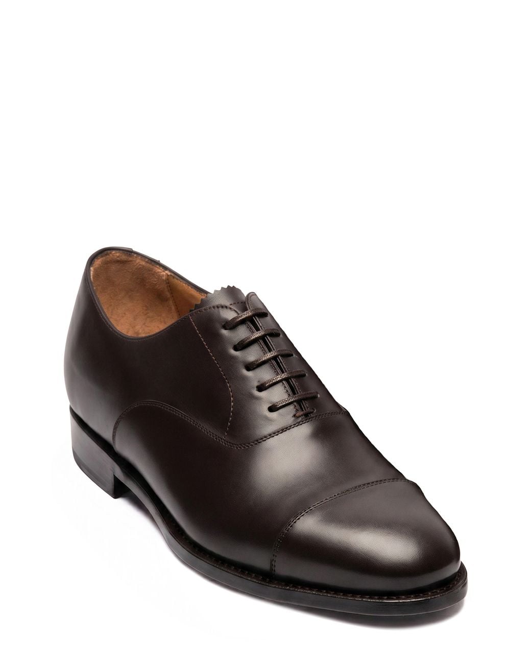 Morjas Brown The Cap Toe Oxford for men