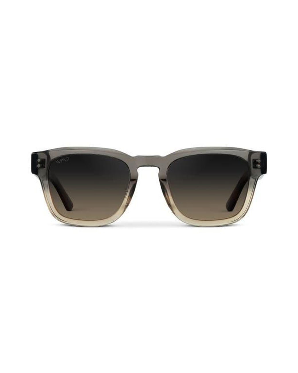 WMP Eyewear Black Wayne for men