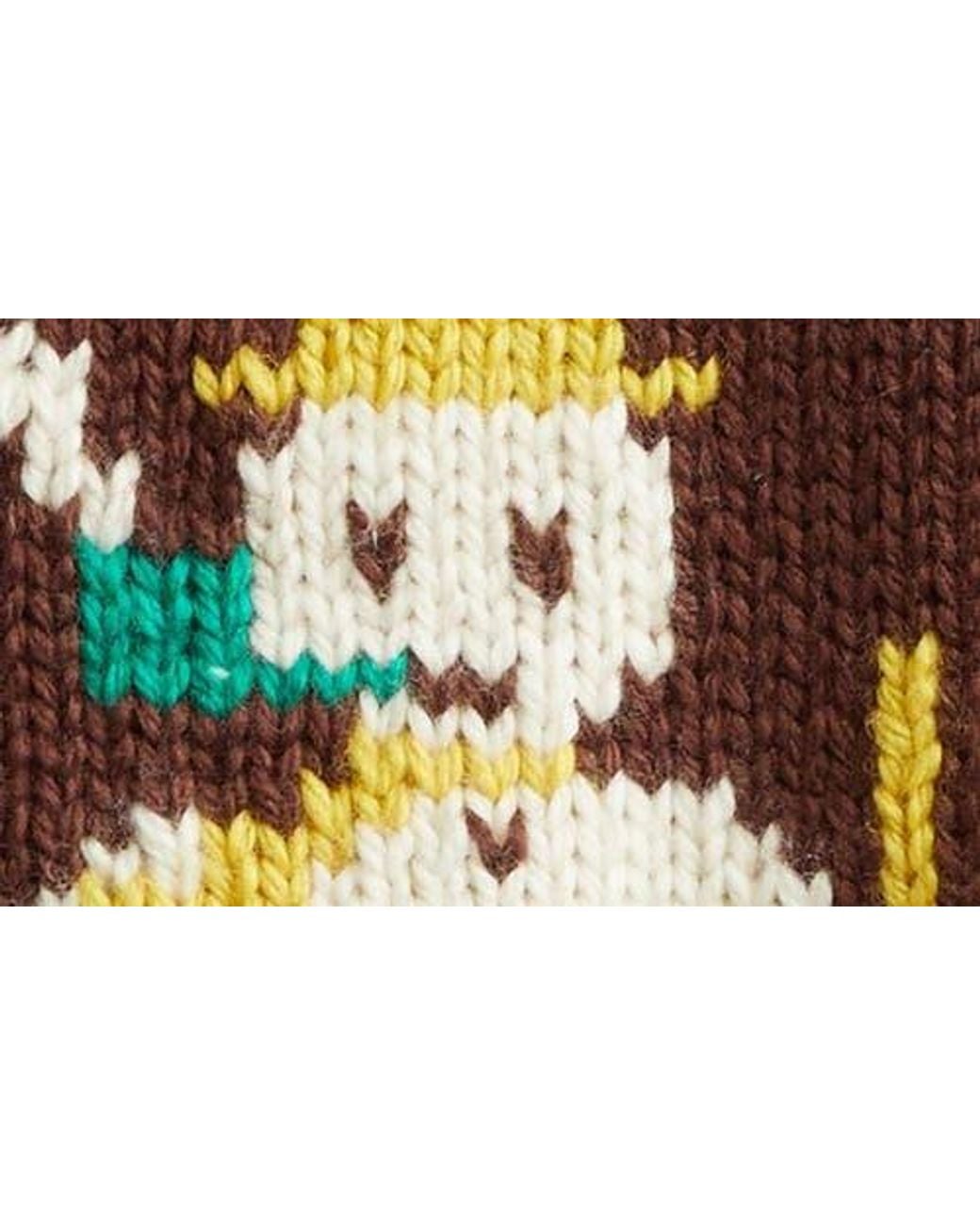 Bode Brown Fir Shawl Collar Wool Zip Cardigan for men