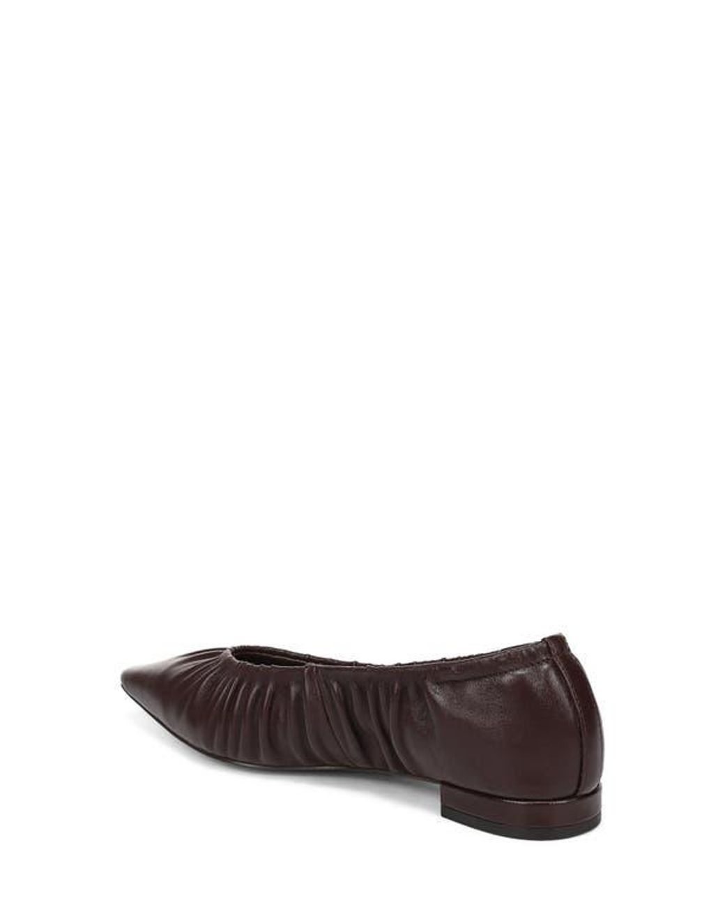 Sam Edelman Brown Essex Pointed Toe Flat