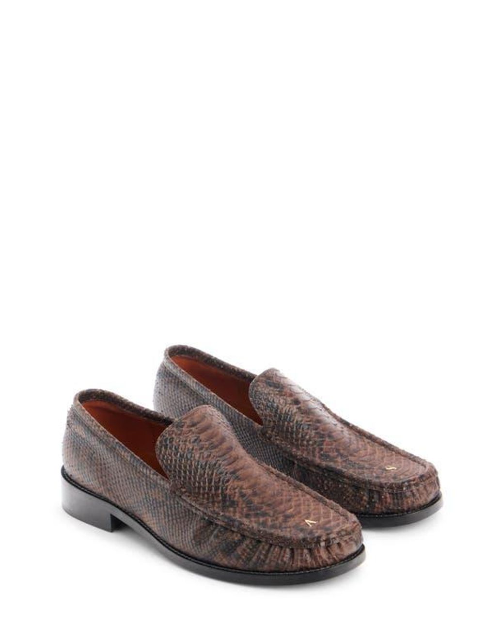 Acne Brown Python Print Loafer for men