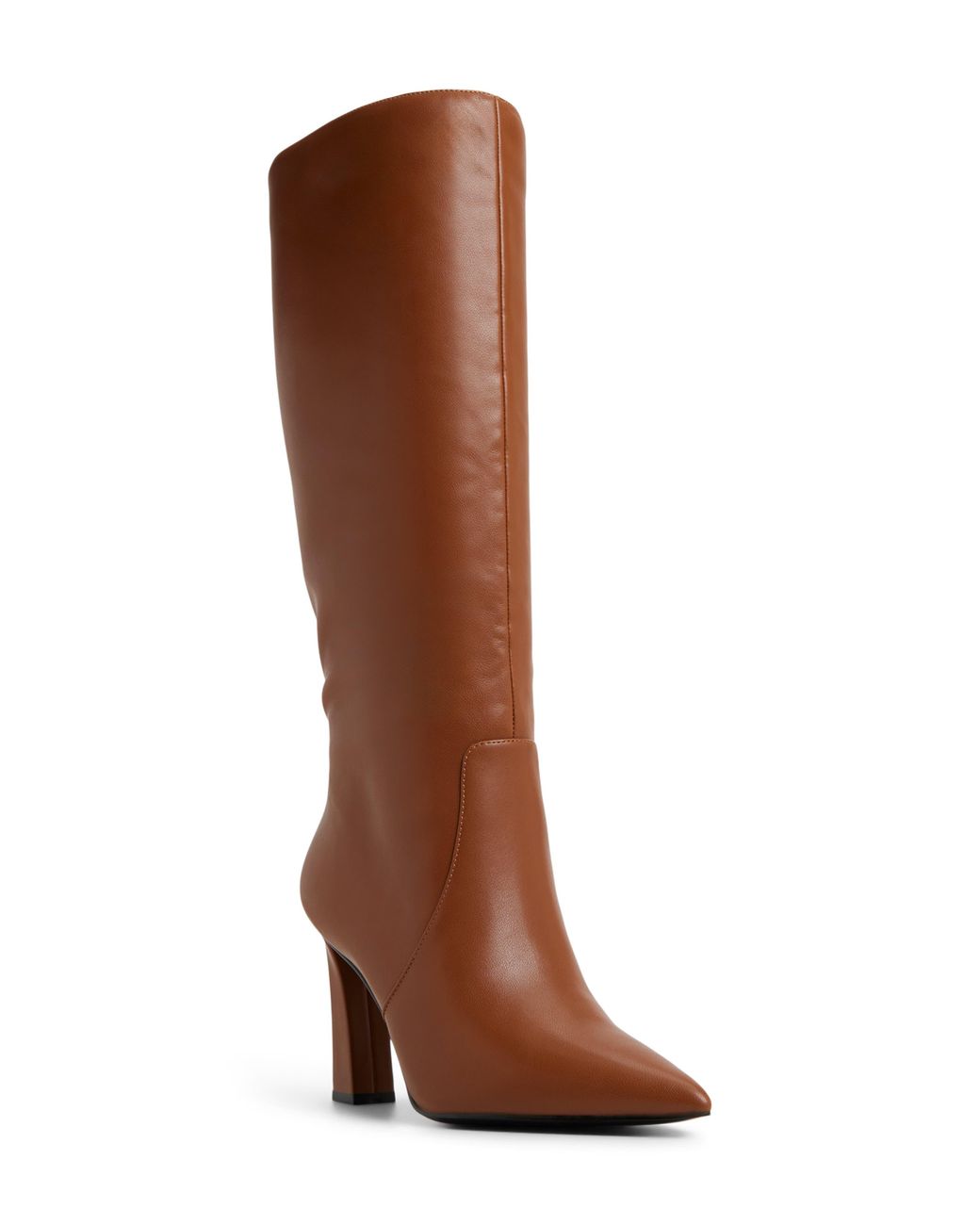 ALDO Brown Nathalee Pointed Toe Knee High Boot