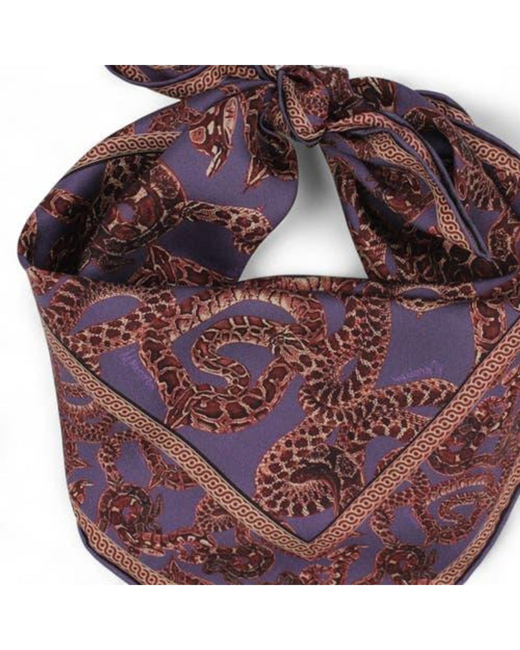 Monzlapur Red Silk Snake Scarf