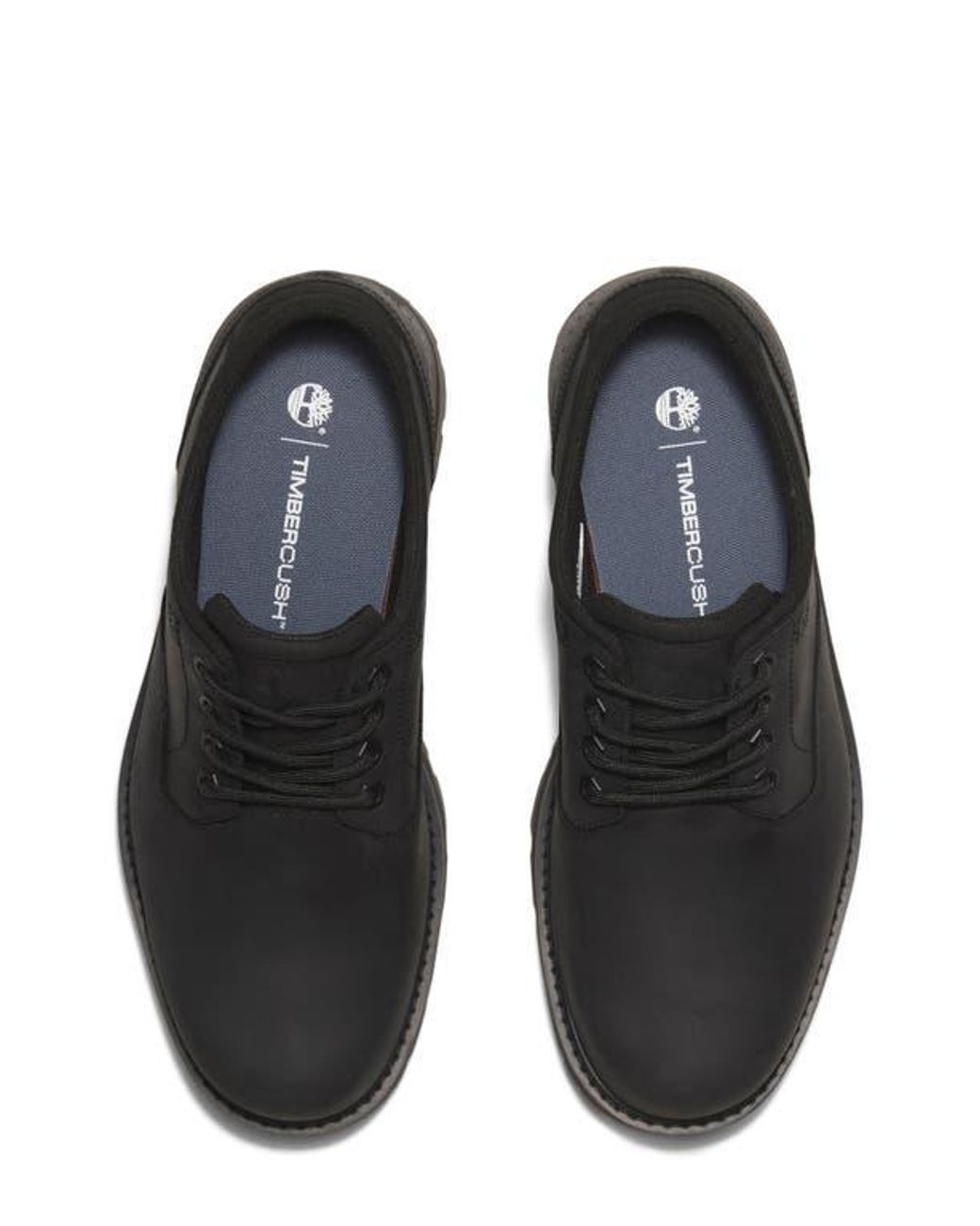 Timberland Black Britton Road Waterproof Derby for men