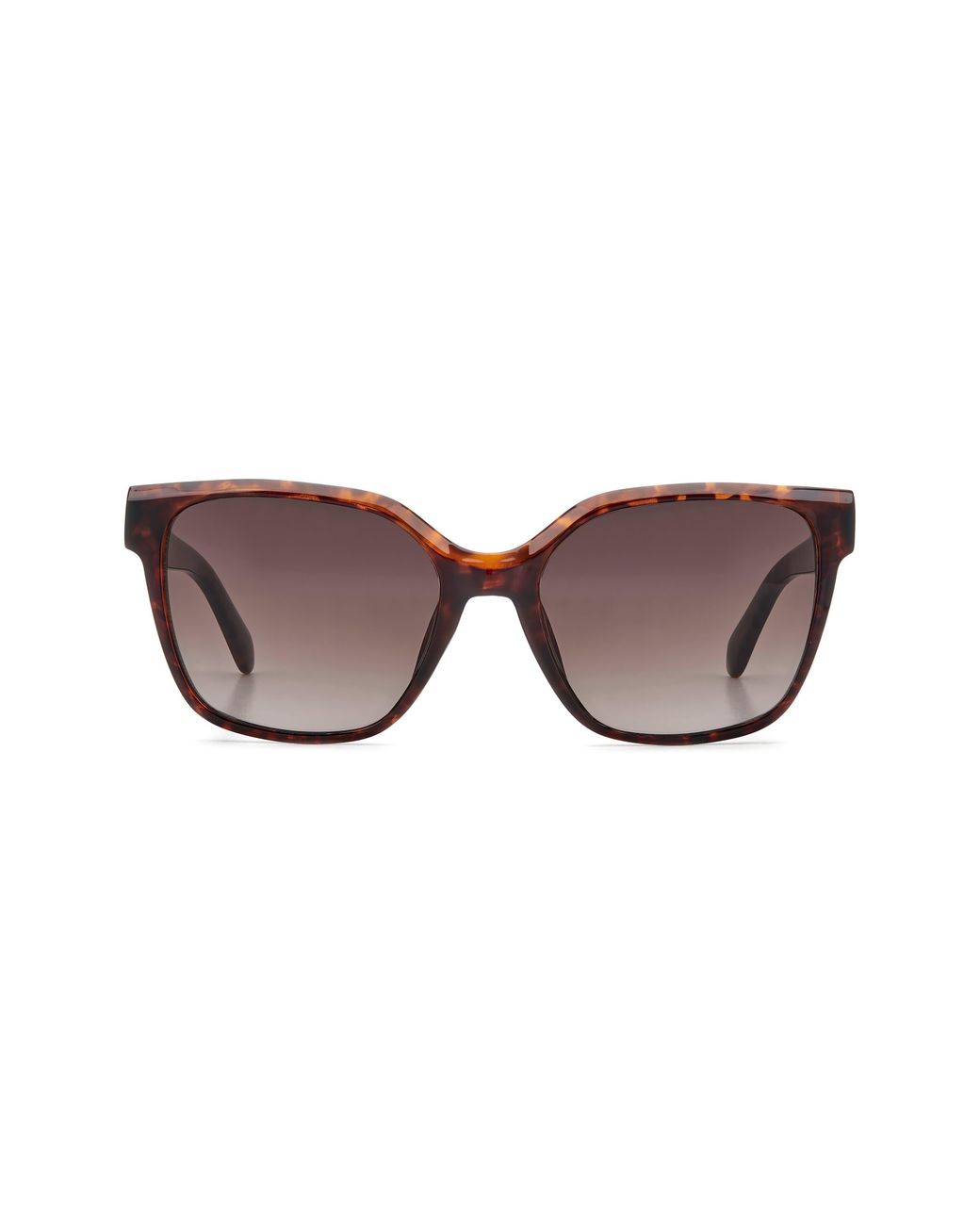 Fossil Brown 55Mm Gradient Cat Eye Sunglasses