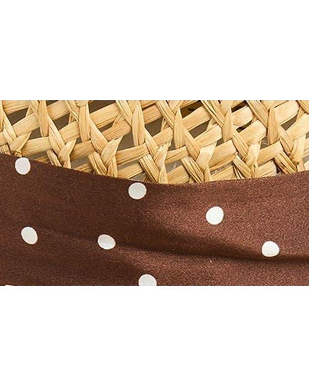 Rag & Bone Metallic Garden Straw Hat