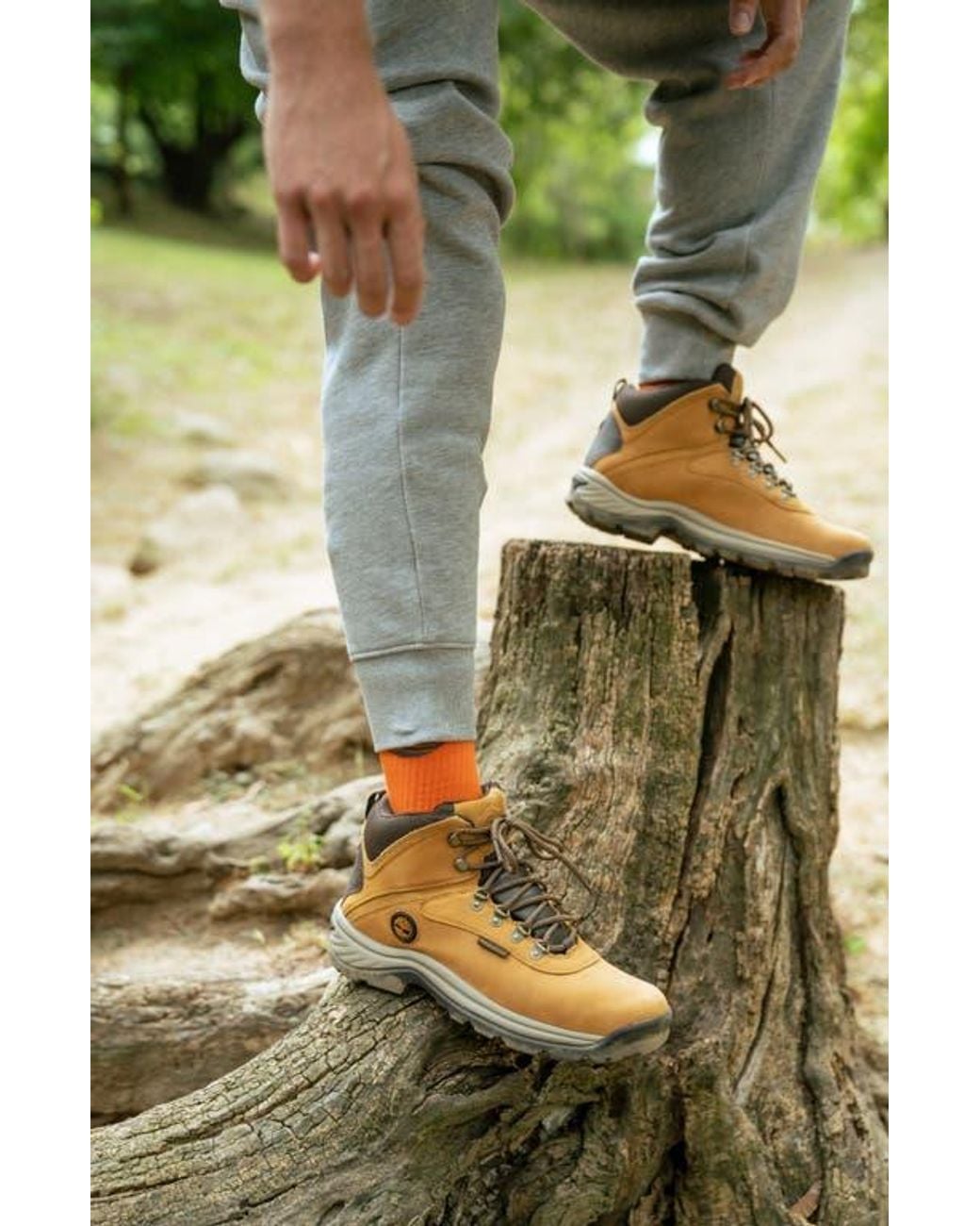 Timberland Natural Ledge Waterproof Hiking Boot for men