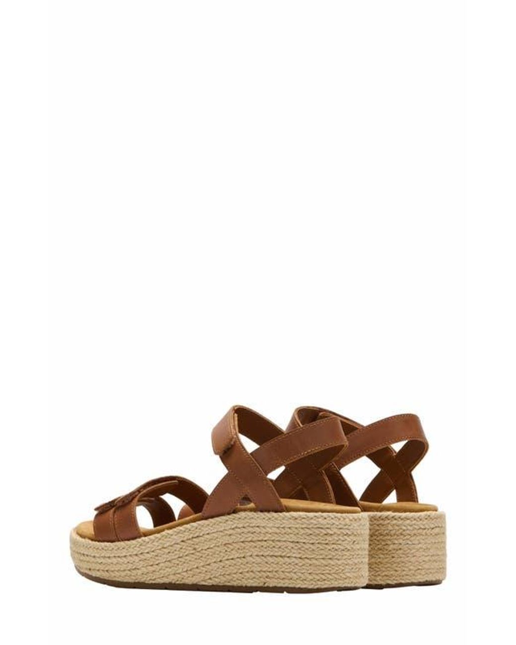 ABEO Brown Solstice Strap