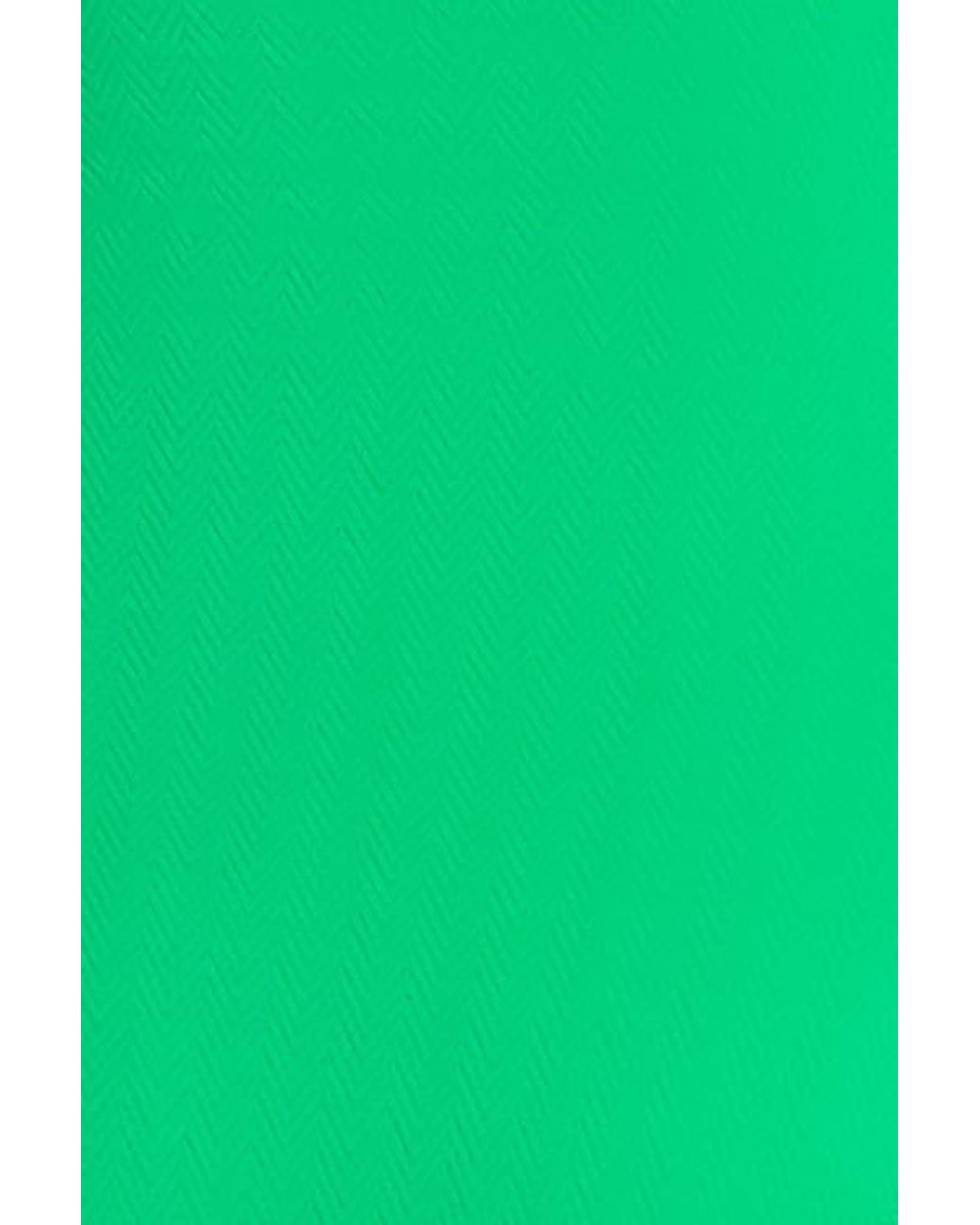 Helen Jon Green Tortoise Halter