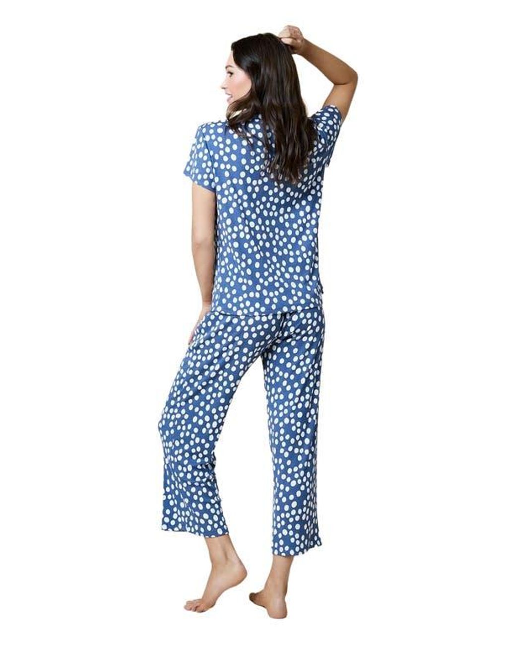 Softies Blue Aria