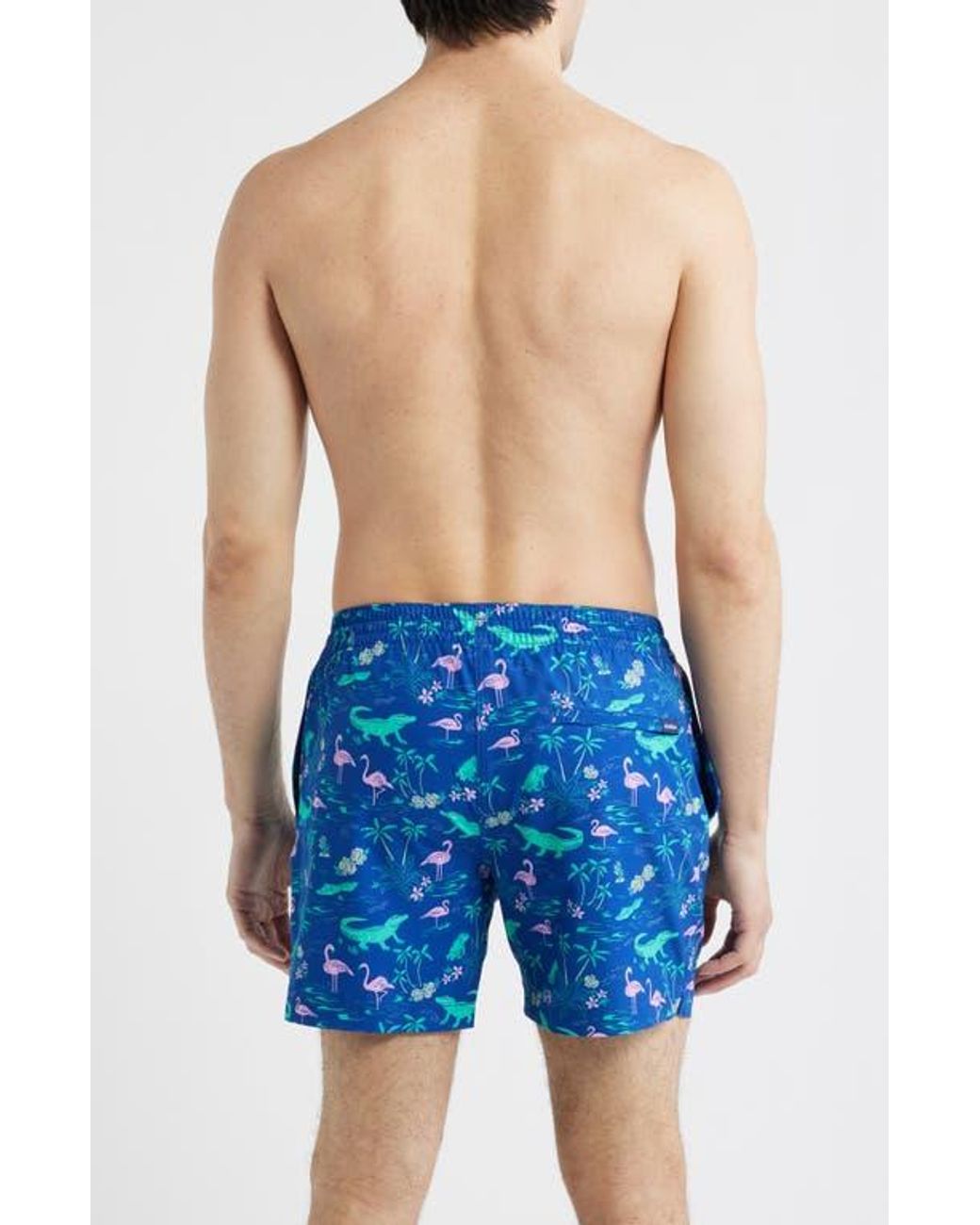 Chubbies The Swamp & Circumstance 5.5-Inch Swim Trunks in Blue for Men ...