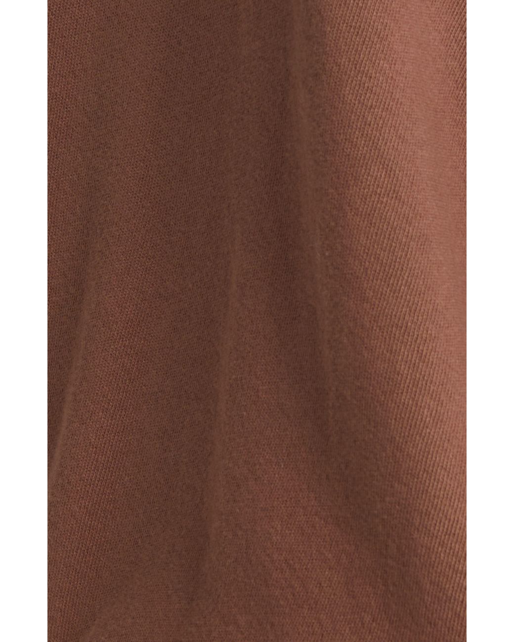 The Great The College Sweatshirt With Gaucho Graphic in Brown