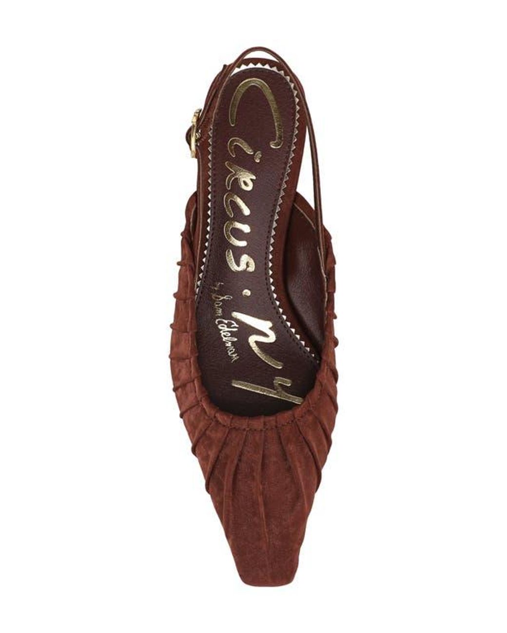 Circus by Sam Edelman Brown Katia Slingback Pump
