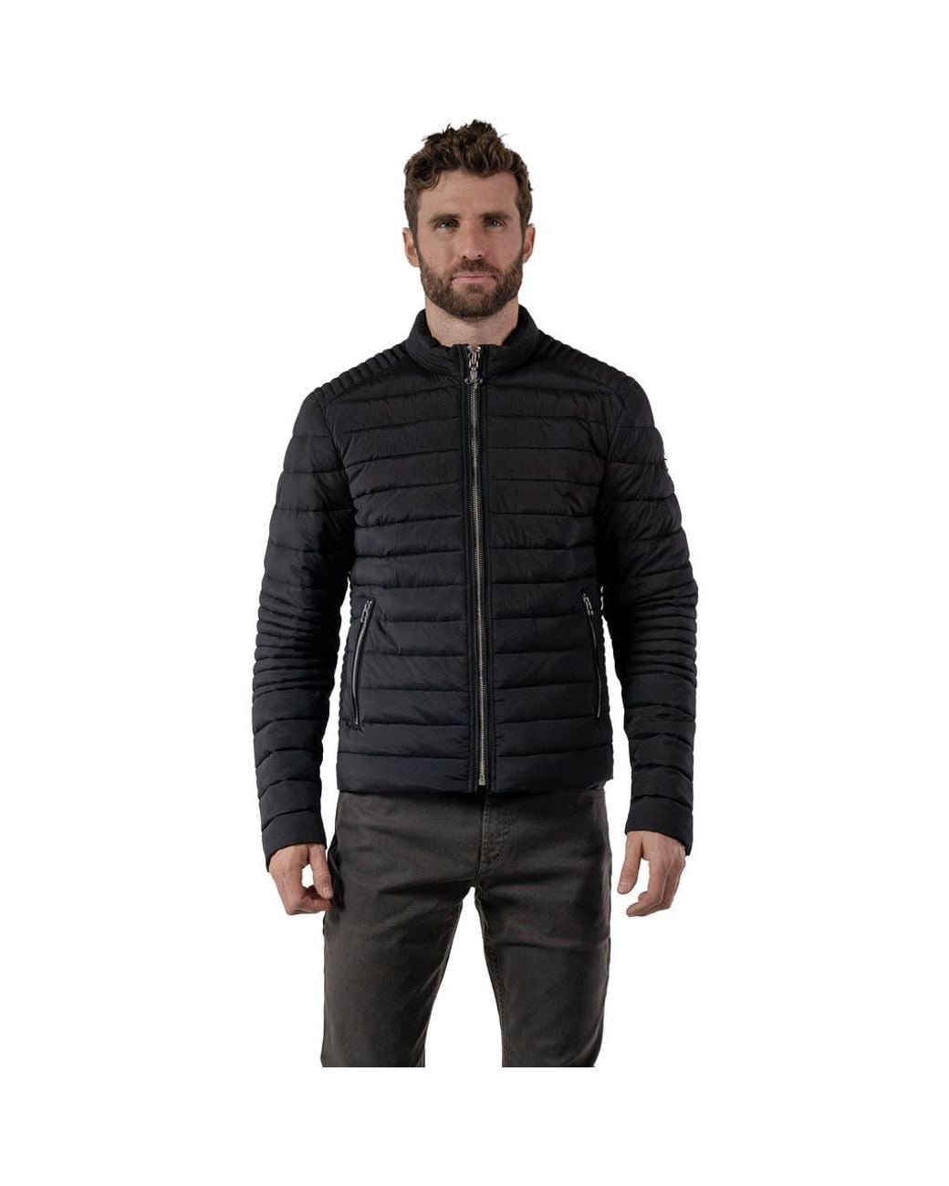 Woodpecker Black Moto Jacket for men