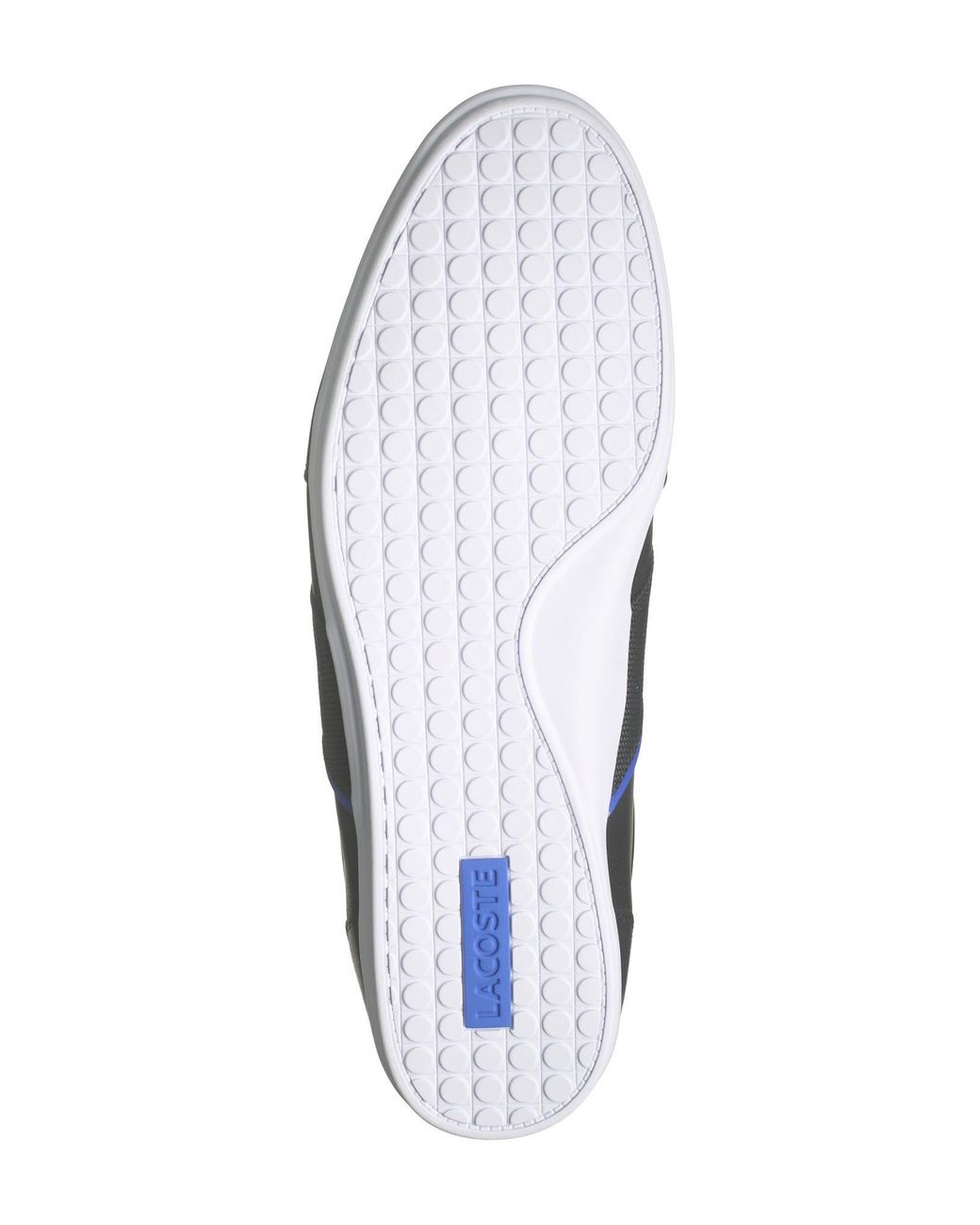 Nivolor top leather sneaker
