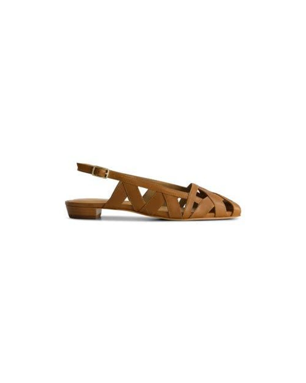 Bernardo Brown Glinda Flat