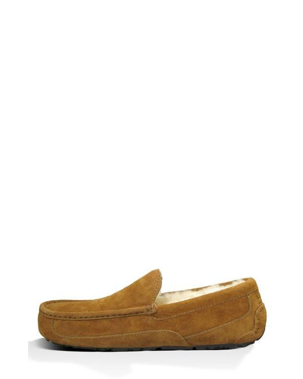 Ugg Brown ugg(r) Ascot Slipper for men