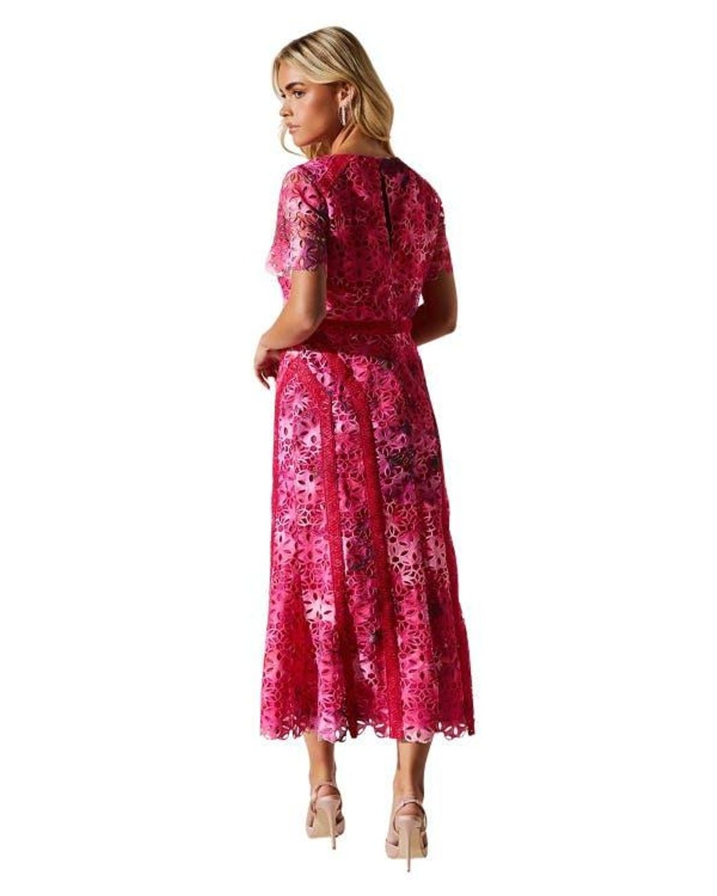 knee length dresses for ladies Red Midi Pencil Dress with Lace Collar – Rosies Closet main image 1