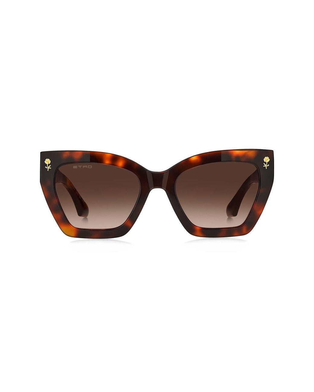 Etro Brown 55Mm Gradient Cat Eye Sunglasses