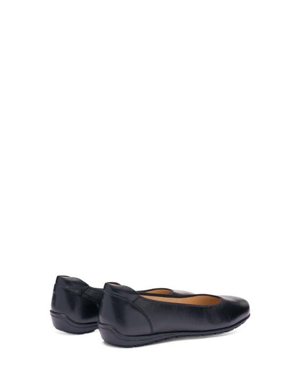 Ara Blue Balsam Flat
