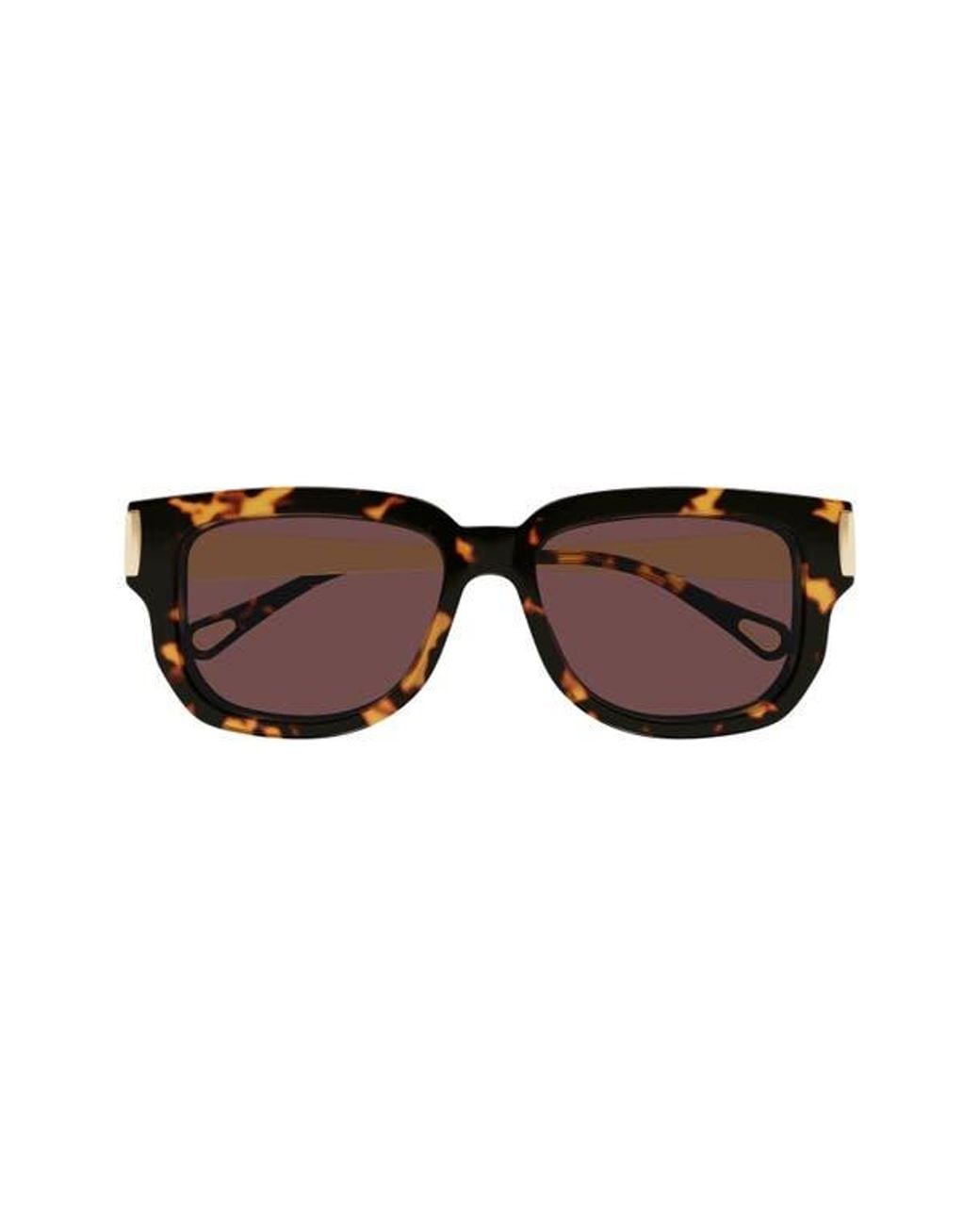 Chloé Brown 54Mm Rectangular Sunglasses