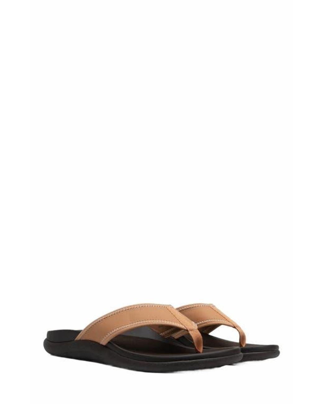 ABEO Brown Laguna Sandal