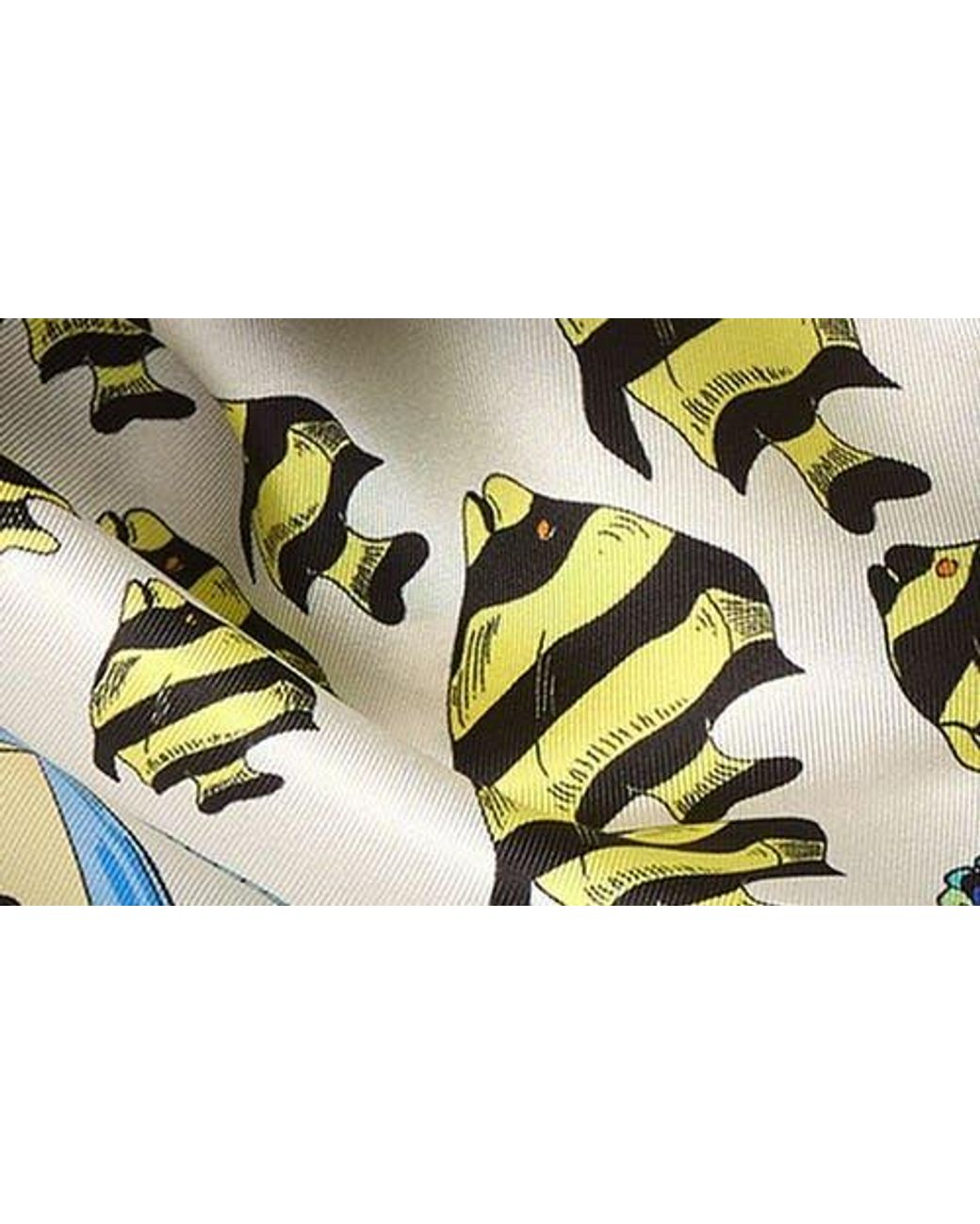 Echo Multicolor Lost