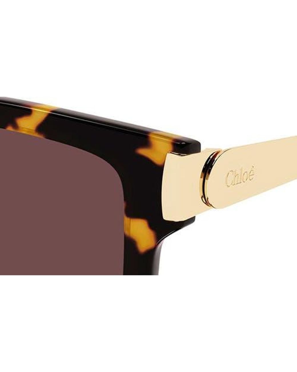 Chloé Brown 54Mm Rectangular Sunglasses