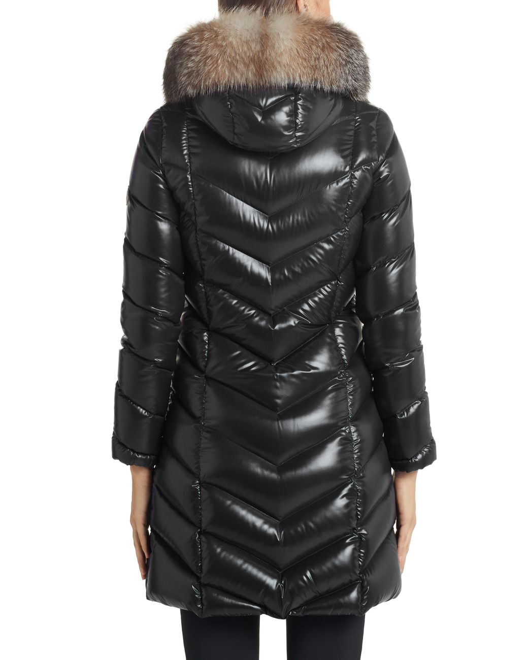 fulmarus giubbotto moncler