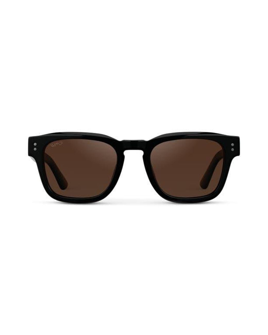 WMP Eyewear Brown Wayne for men