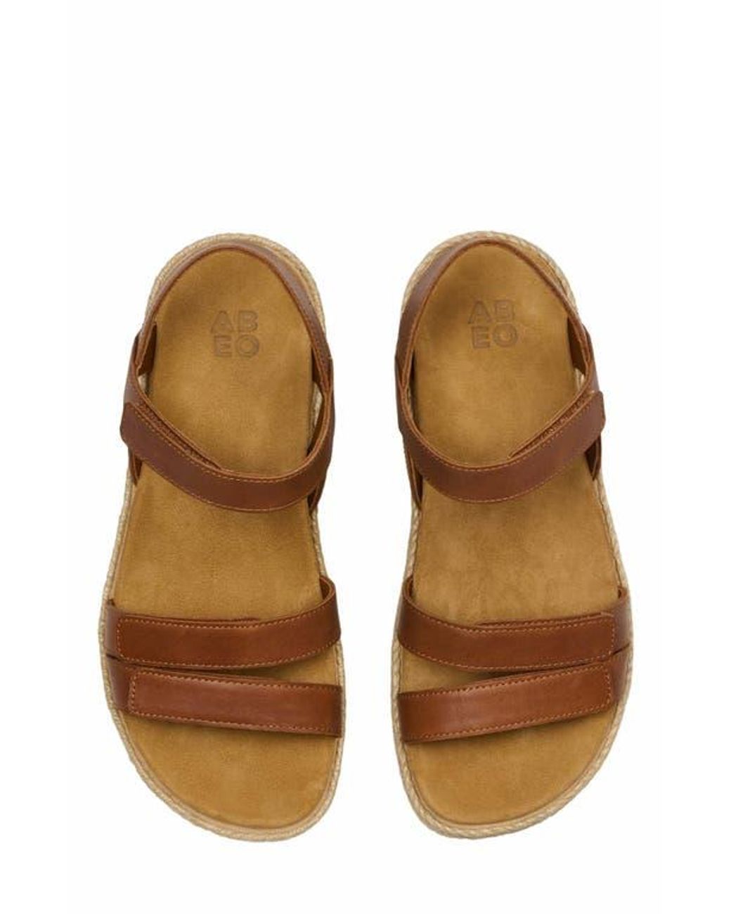 ABEO Brown Solstice Strap