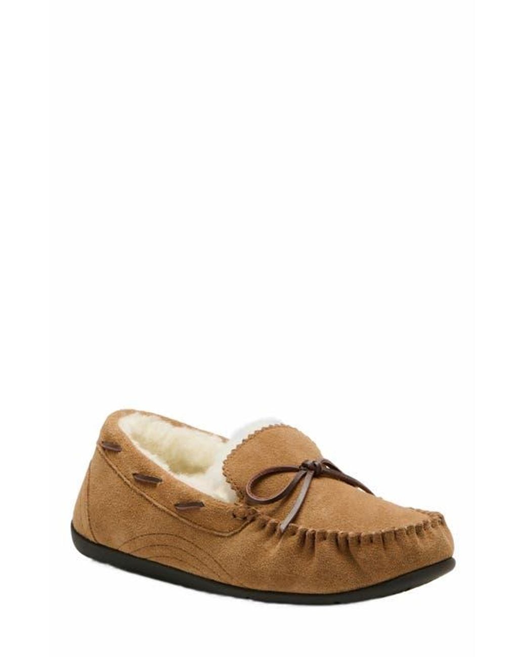 ABEO Brown Amble Bow Slipper