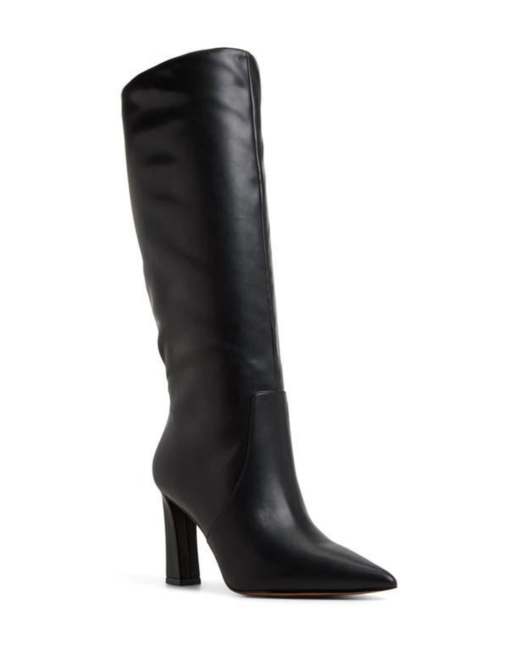 ALDO Black Nathalee Pointed Toe Knee High Boot