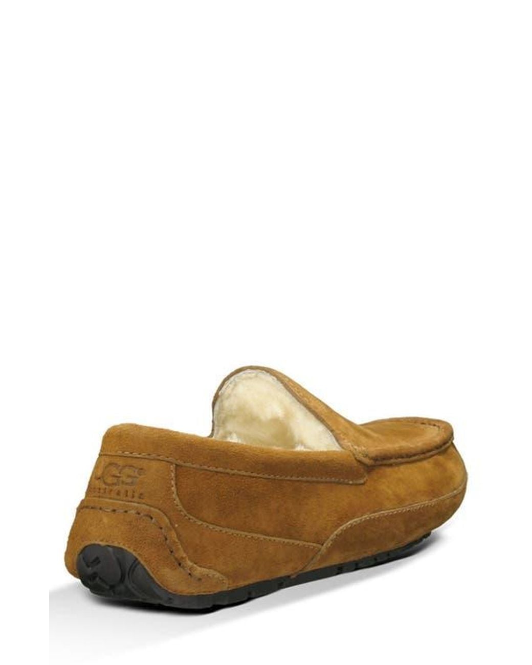 Ugg Brown ugg(r) Ascot Slipper for men