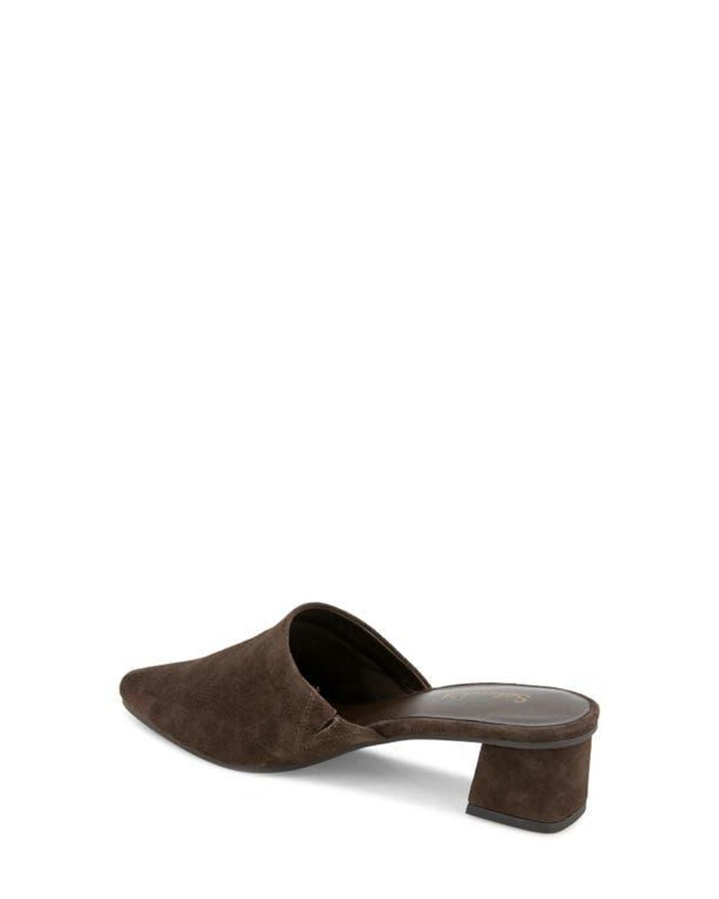 Splendid Brown Lorelei Mule