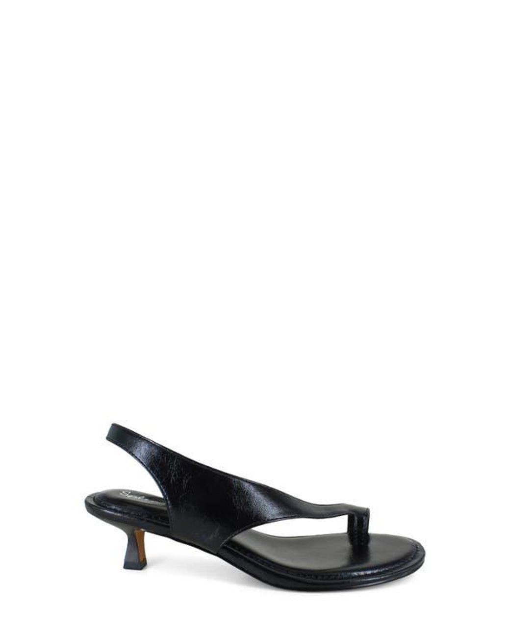Splendid Black Helen Toe Loop Sandal