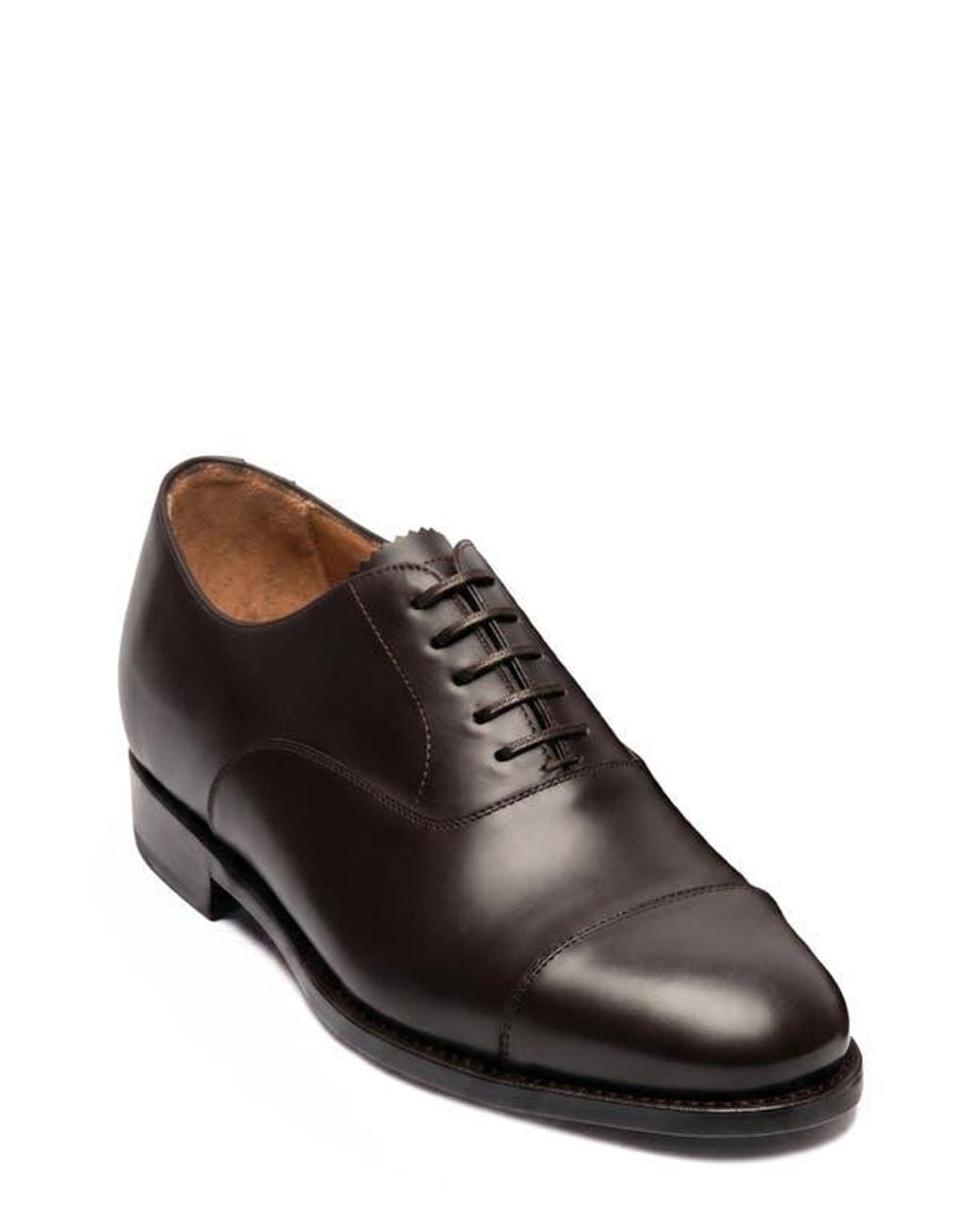 Morjas Brown The Cap Toe Oxford for men