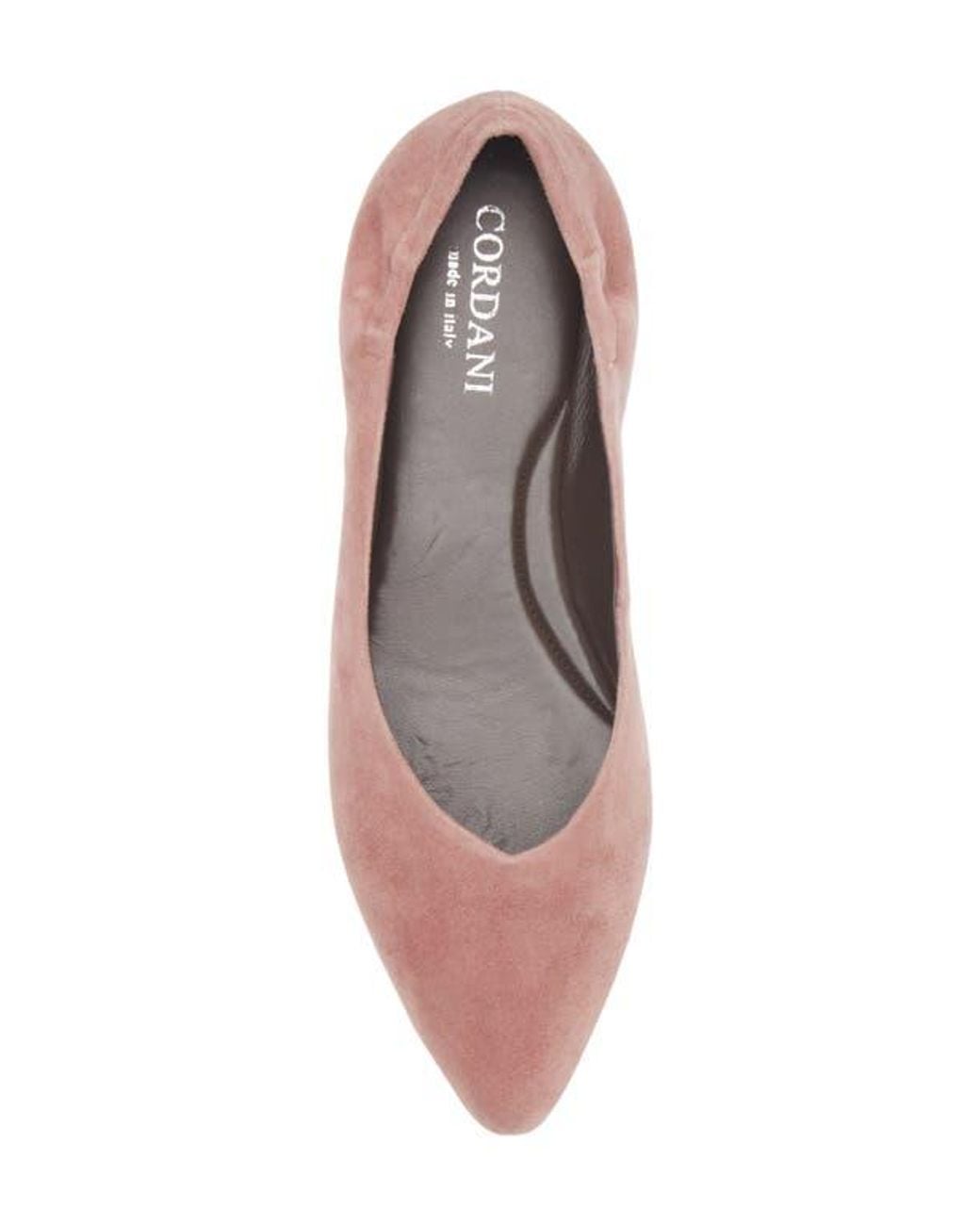 Cordani Brown Mavis Pointed Toe Flat