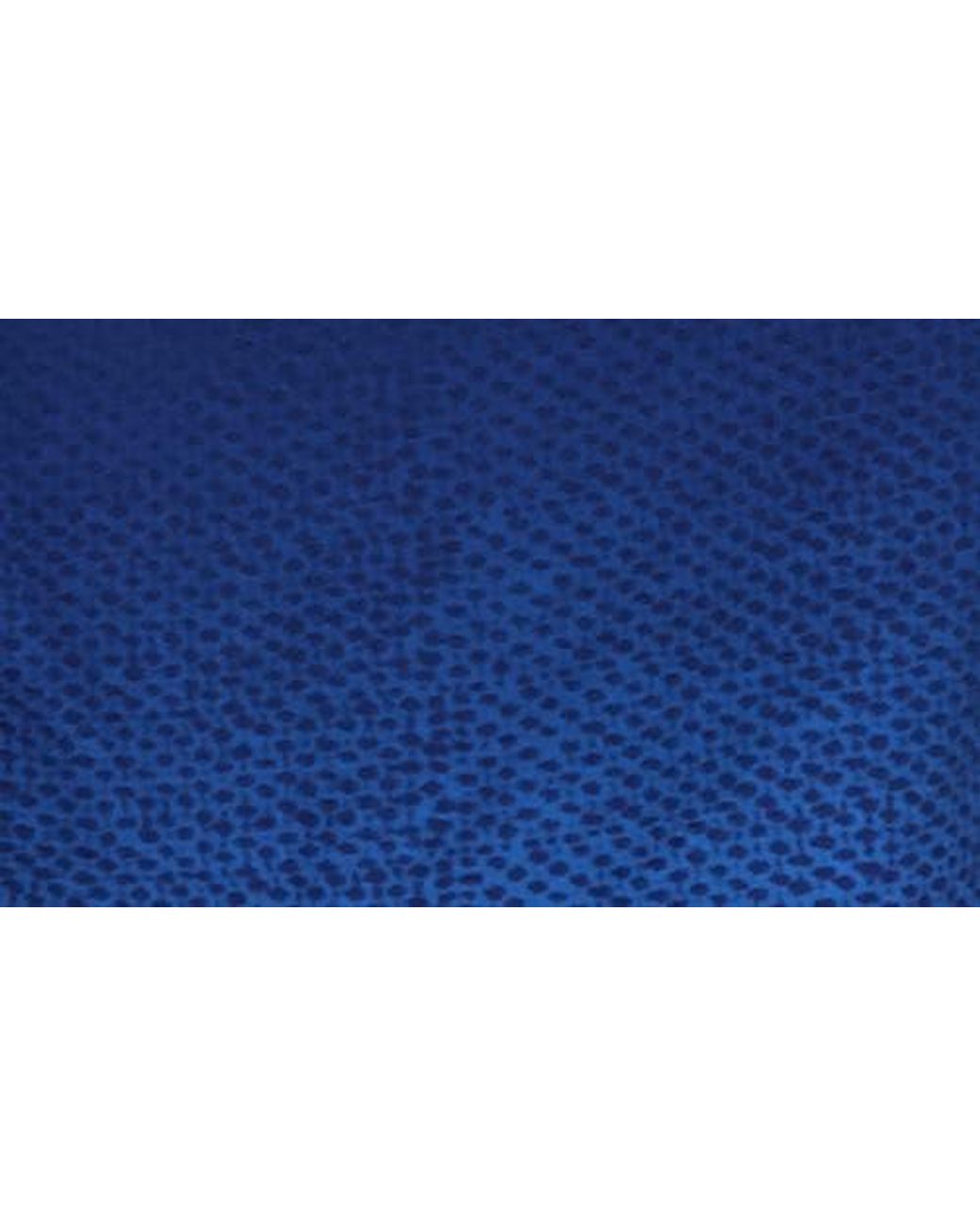 Spyder Blue Volley Swim Trunks for men