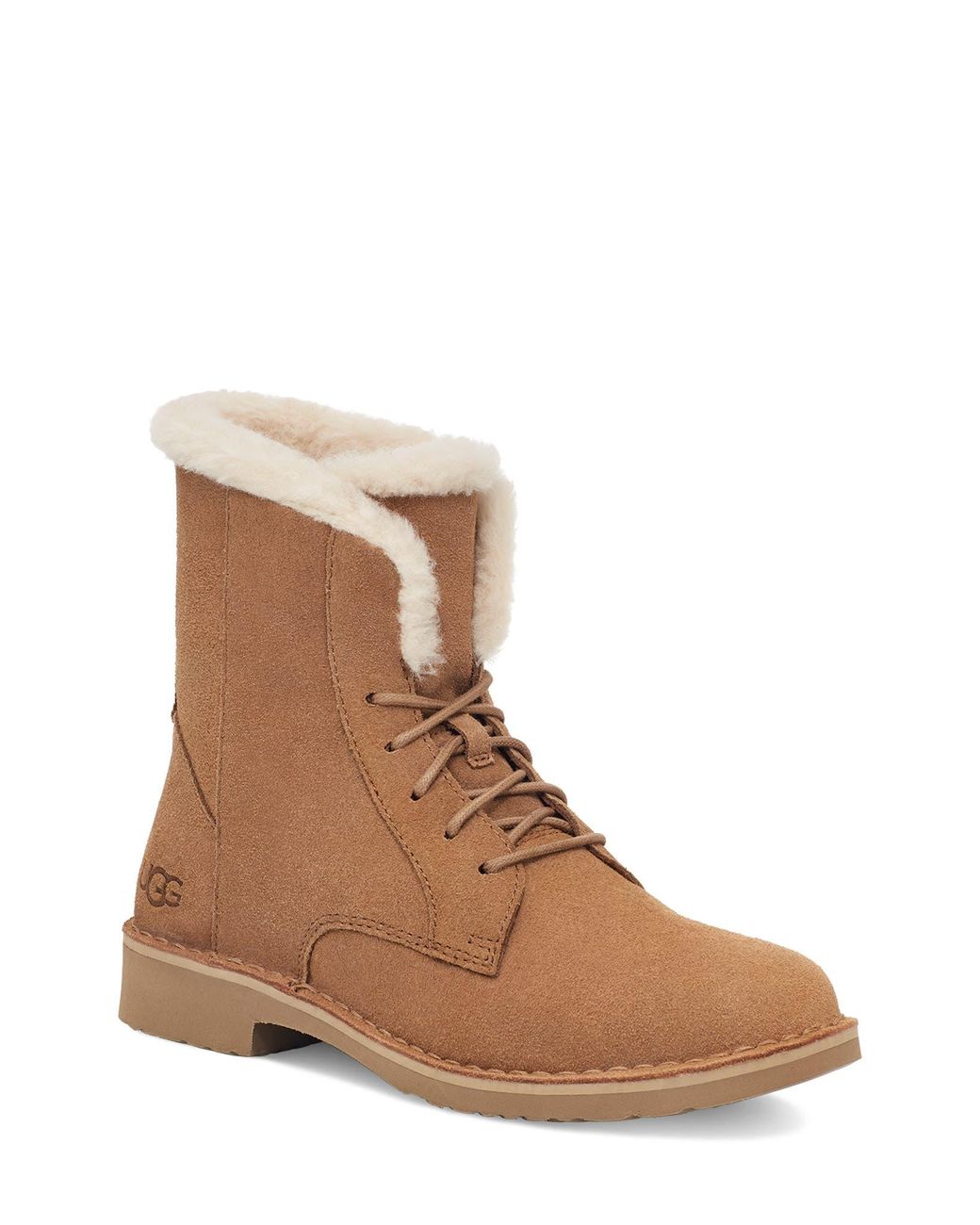 UGG UGG Quincy UGGplush Faux Shearling Lined Combat Boot In Chestnut At Nordstrom Rack in Brown