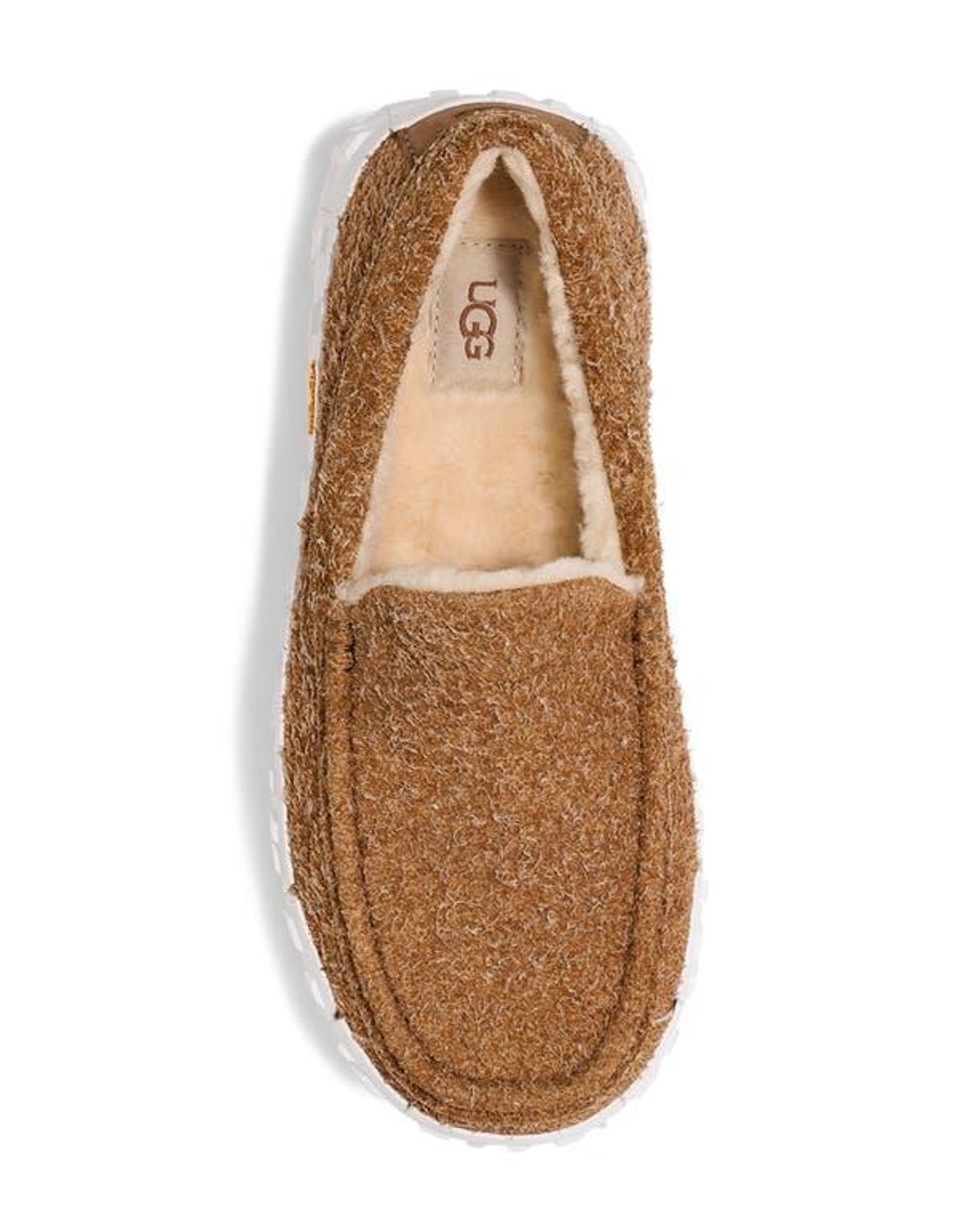 Ugg Brown Ascot Wrap Tech Slipper for men